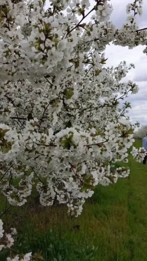 ���� ����� ������ ������������ � ������� ��������