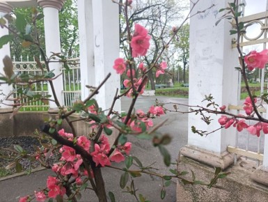 24 ������ ��������� ���������� ����������, ��� ������������ �������