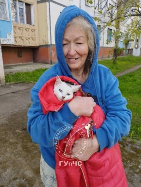 ���-�������� �������� �����