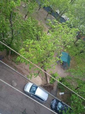 ������ ������� �� ����� �� ��������� �������� �� �������������� �����