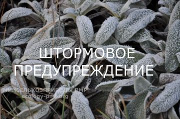 ��������� ��������������. 24 ������ ����� � ����� ��������� ��������� ������� � ������� �� -1��, �� ����� �� -4��