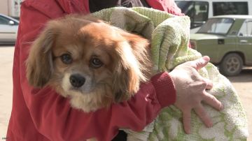 �� ���� � ������. ������� �� ���������