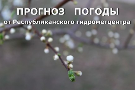 ������� ����!. ������� ������ �� �������, 24 ������