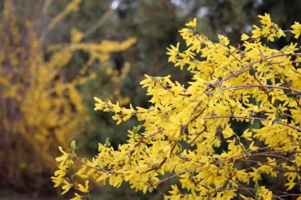 �������� ������ �� ���������� ���������� ����