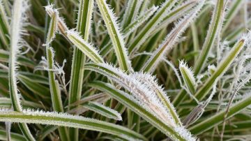 � ������������� ��������� ��������� �������������� ��-�� ����������