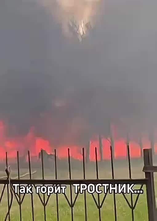 ����� ����� ����� � ��������� � ��������� ������