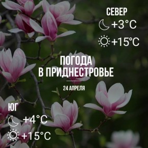 ���� � ���������� ����������, �� +15