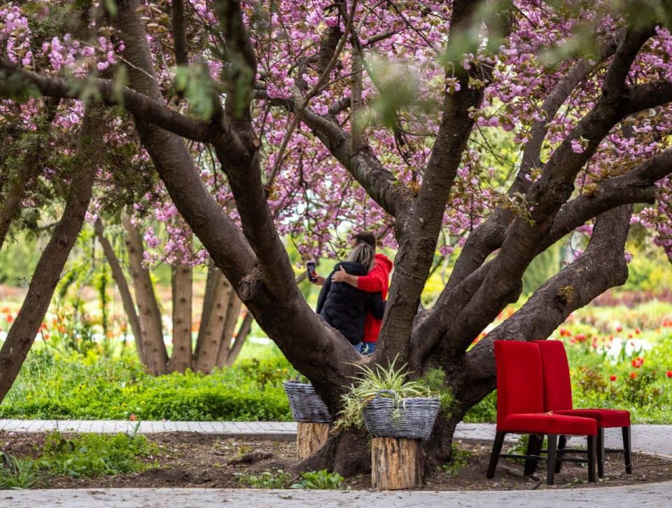 ����� � ����� ������ ����������