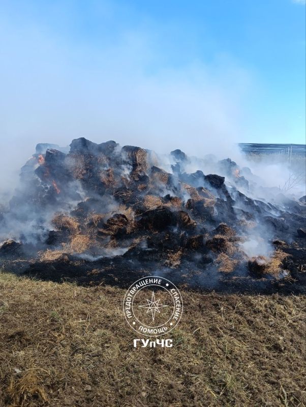 ������� � ������ �� ���������� ����� ���������� ������