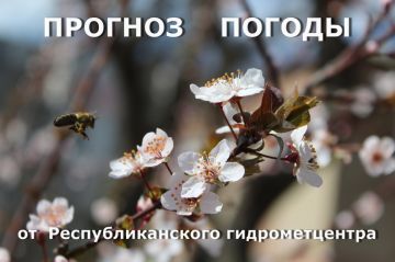 ������� ����!. ������� ������ �� �������, 25 ������