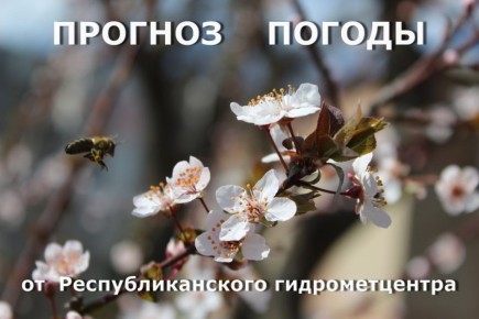 ������� ����!. ������� ������ �� �������, 25 ������