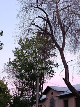 �� ����, ������� ��� ������� ������� ��������� �������� ����� � �������