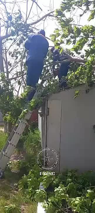 ������������� ��������� ���� ��������� ����������� ��������
