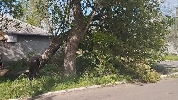 ������������ ������ ������� �� �������