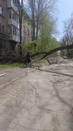 �������. ����� 40 ��� �����. ������ ������������ ������