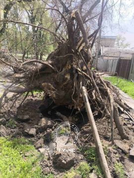 � ������� ������ �������� ����� ���: ������� ������, �������, ����������� ������ � �����