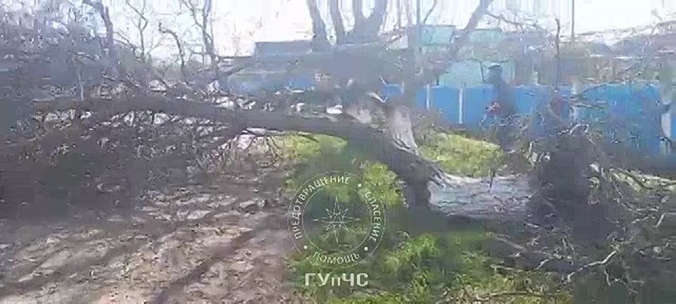 ���������, ����� � ���� ���� � ���� ������, ������������� �����