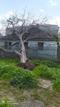 ��� ���� ��. � �������� �� ����� ������, 4, ����� ������� ������ �� ��� �������� ������� �������