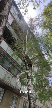 � ��� ���������. ��� ������ ������� � ����� ����