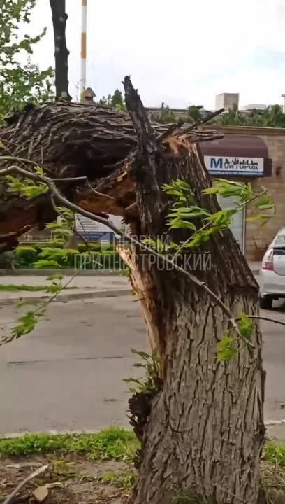 � ������������ ������� �������� ���������� ���������������