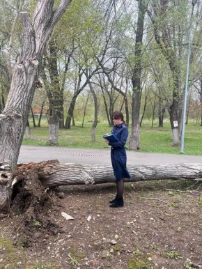 ������ �������� ��������� ������� � ������