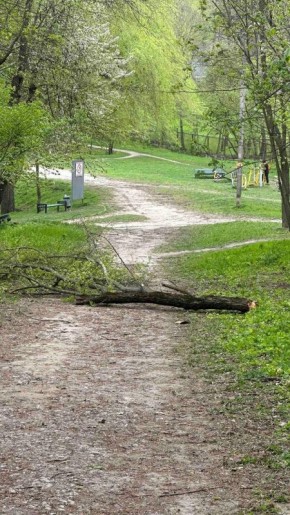 � ������� � ���������� �������� ���� �������� � ������������