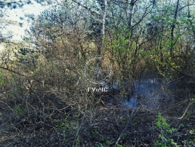 ������ ������������� ����� � ���� ����� ������� (��������� �����)