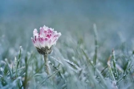 �������� ������� ��� ���� ���������: ��������� �� -3�� �� ����� ������� ����� � ������ �����