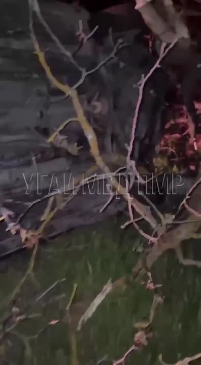 ����������� ������������ ��� � �������