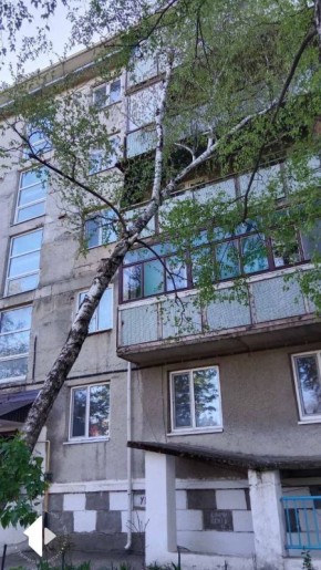 ���������� ���������� ����������� ����������� �������