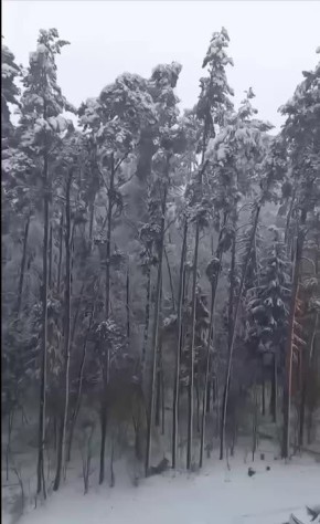 �������� ������!�:. �������� �������� � ����������� ������ �� 10 ������