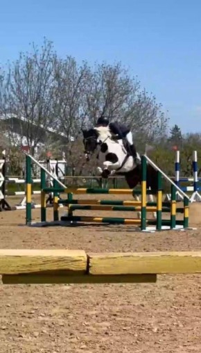 � ��������� ������ ������������ �� ������� ������ � ���������� ������ � ����������� �����������