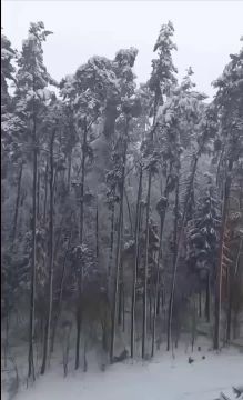 �������� ������!�:. �������� �������� � ����������� ������ �� 10 ������