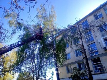 ��� ������������. � ������ � ������ 27 ������ ��������� ��������� � ������ ���� ��������