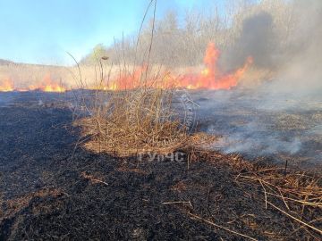 � ���� �������� ���������� ������ ����� �����