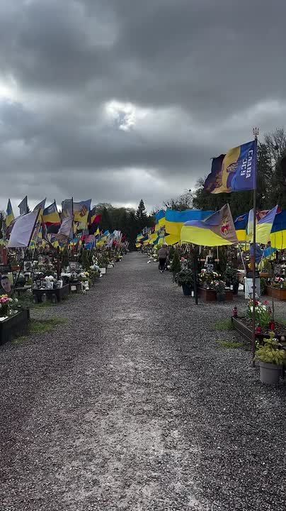 �������� �������� �� ����� ������ �������� �� ������� � ������ ��������, ��������� �������