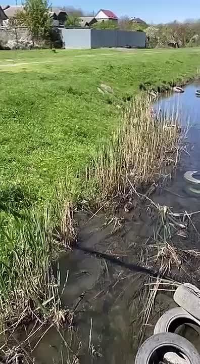 ������ � ���������� ������� �� ����� ������! �����, ������� � ����� �������