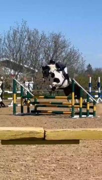 � ��������� ������ ������������ �� ������� ������ � ���������� ������ � ����������� �����������