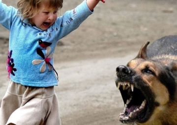 ����� 100 ����� ���������� �� ������ ����� � ������� � ������ ����� ����, 9 ����� �������� �����������������, �������� ���������� ���