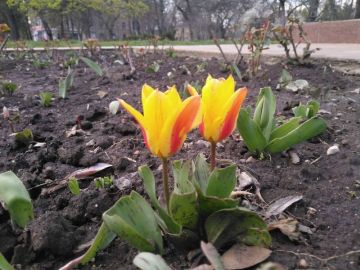 30 ������ ��������� �������� ������ � ������������, ����� �� ��� ��������������� �����, ���� ��� �������