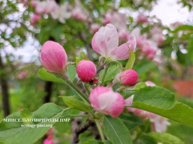 ����� ���������: � ������������� ����� ����� �����������