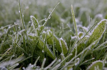 �������� �������������: ������ ����� � ����� �� ������ ���������� � ��������� �� ����� �� -5��