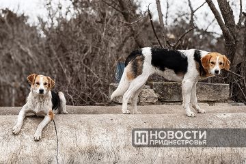 ����� 520 �������������� ���������� � �������� ����� ������ �������� � ������ ����