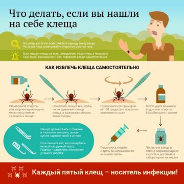 ����� �����?. � ��������� �������;