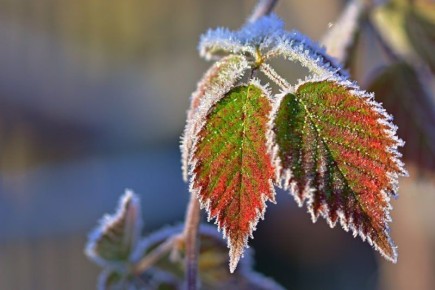 ��������� ��������� ����� � ����� 30 ������: � ������� �� �2��, �� ����� � �� �5��, ������������� ��������������� �������������