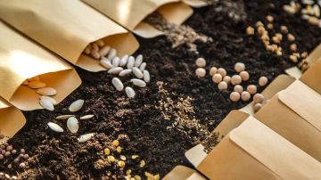 ��� ��� ����������� ������������� ������� �� ������������ ����������� ������ �� ������������� �����, ������ � ���� ��� ������ (��� �� ��� 1209) ��� ���� ������������� ����������� ��� ����������� �� ������ ��������