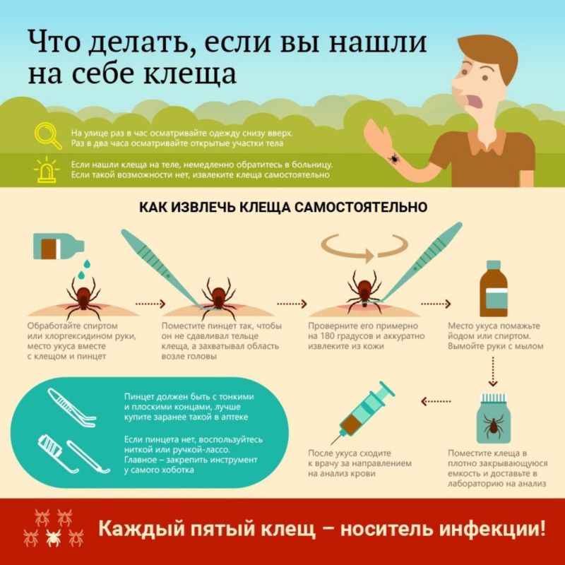 ����� �����?. � ��������� �������;