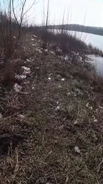 ���� ������ � �������� ����� �� ������� ����� � �������, � ����������� ������