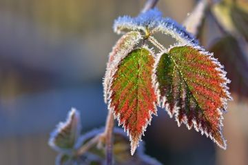 ��������� ��������� ����� � ����� 30 ������: � ������� �� �2��, �� ����� � �� �5��, ������������� ��������������� �������������