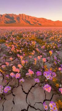 � ������ ������ � ��� ��������� ������ ������������� � ����� ������ �������� ��� � �����������